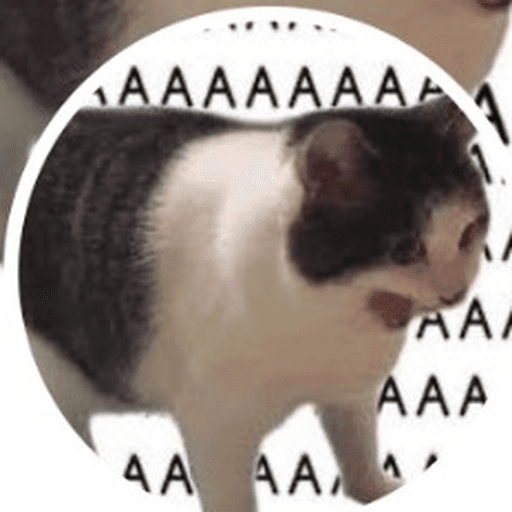 AAA Cat